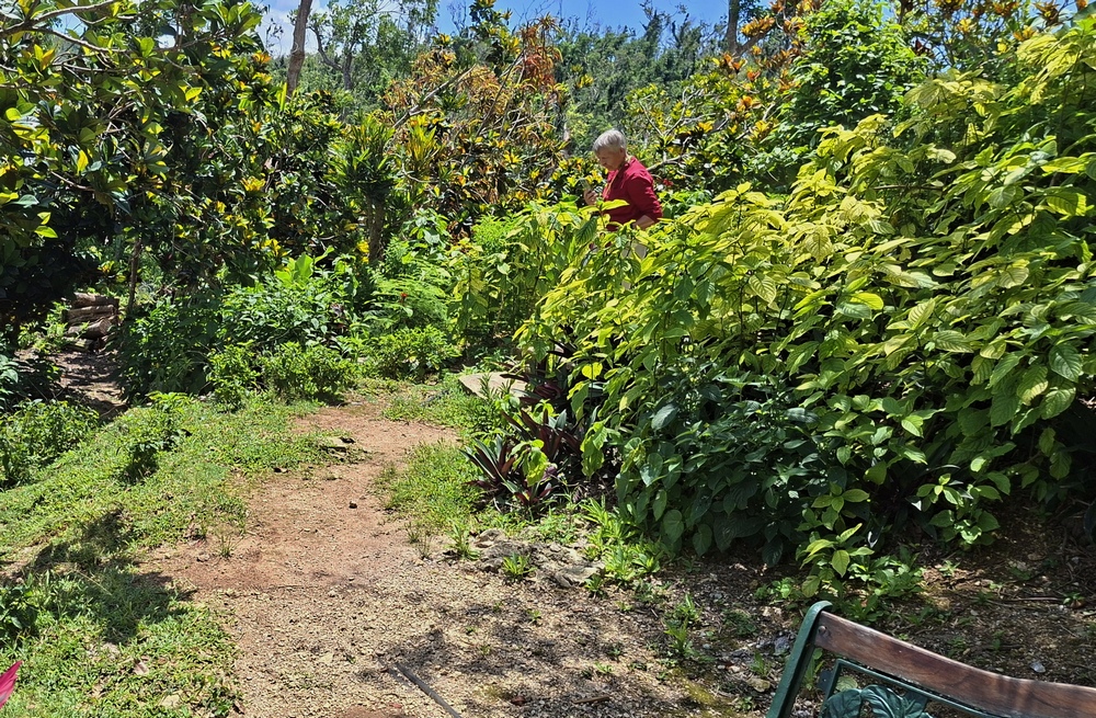 2026-04-11 Montego Bay 20260411_112831_ji.jpg